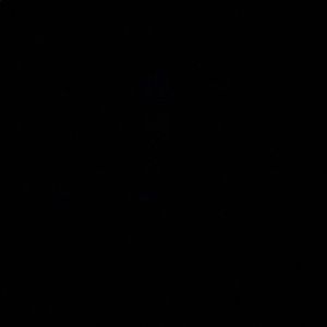 Meet your Posher, Avani